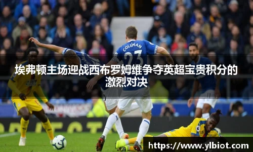 埃弗顿主场迎战西布罗姆维争夺英超宝贵积分的激烈对决