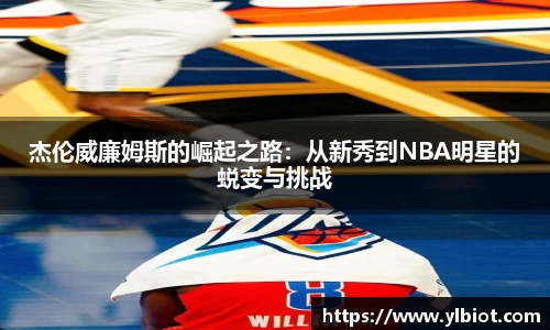 完美体育登录入口